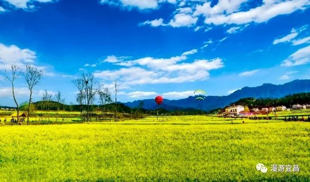 重磅 夷陵南垭花田上榜 湖北十大最美油菜花海 腾讯新闻