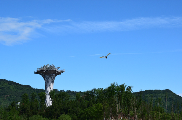 盛世莲花台,亲水栈道,观鸟塔,婚庆广场等多处人文景观,与湖,花,林浑然