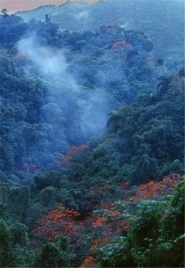 藍種人這種全身呈藍色的人存在嗎19世紀的深山中出現過