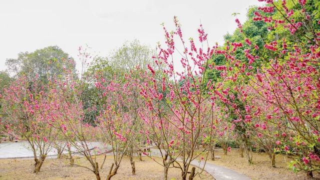 广院欢迎你，2023年广西城市职业大学单招/对口招生简章