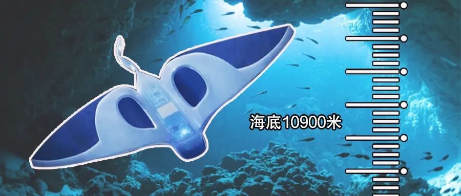 海沟|海洋新霸主诞生？软体机器鱼游入世界最深海沟