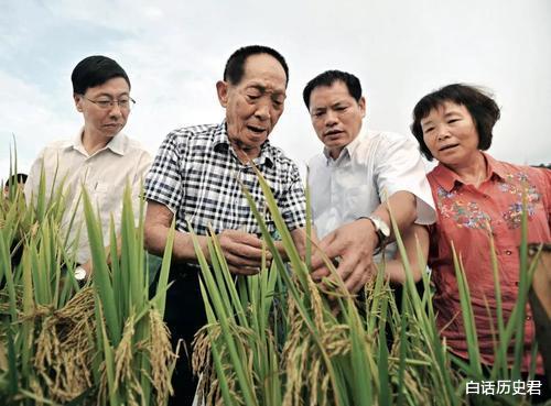 袁隆平|当代神农袁隆平，一个让中国人吃饱的男人，为何却进不了中科院？