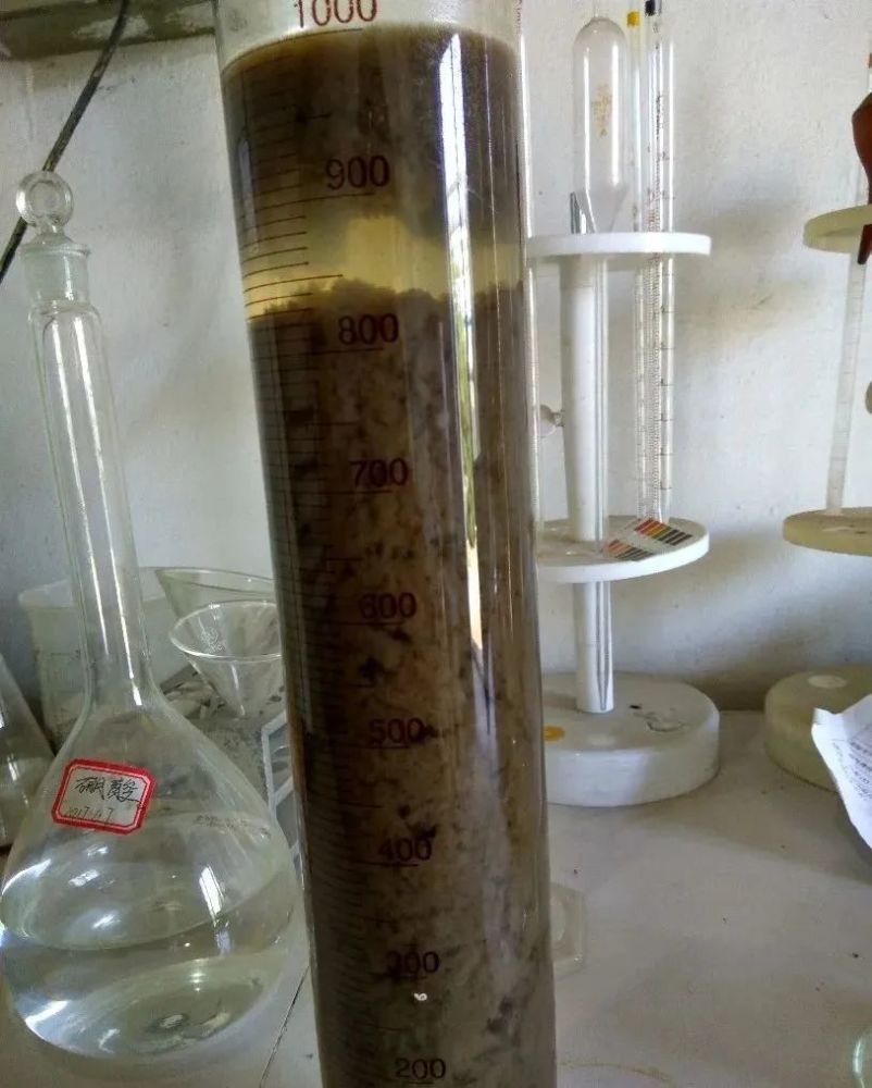 通常为棕黄色,黑色絮状团浮于液面,存在原因:曝气过度;活性污泥老化