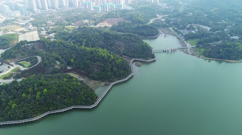 近日,經常在益陽高新區梓山湖公園休閒的市民發現:梓山湖西岸紫龍郡