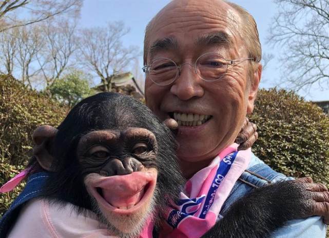 猩猩小庞学会手语结婚生子试图成为人类后来怎么样了