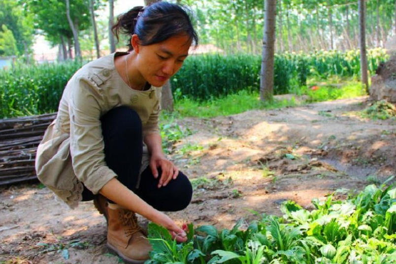 清华女博士后回乡当农民,种地11年创农场新模式,年收入800万