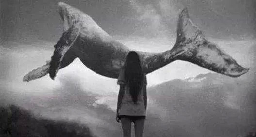 济南女大学生遗书曝光那个一心求死的孩子早已被杀过无数次