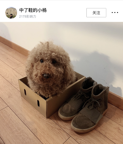 嚯社区的朋友们来晒鞋盒啦这就是传说中的凡尔赛吗