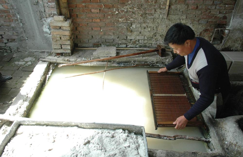 一纸千金快速入门纸浆期货