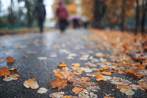 28,本來是去吹風,結果變成淋雨.