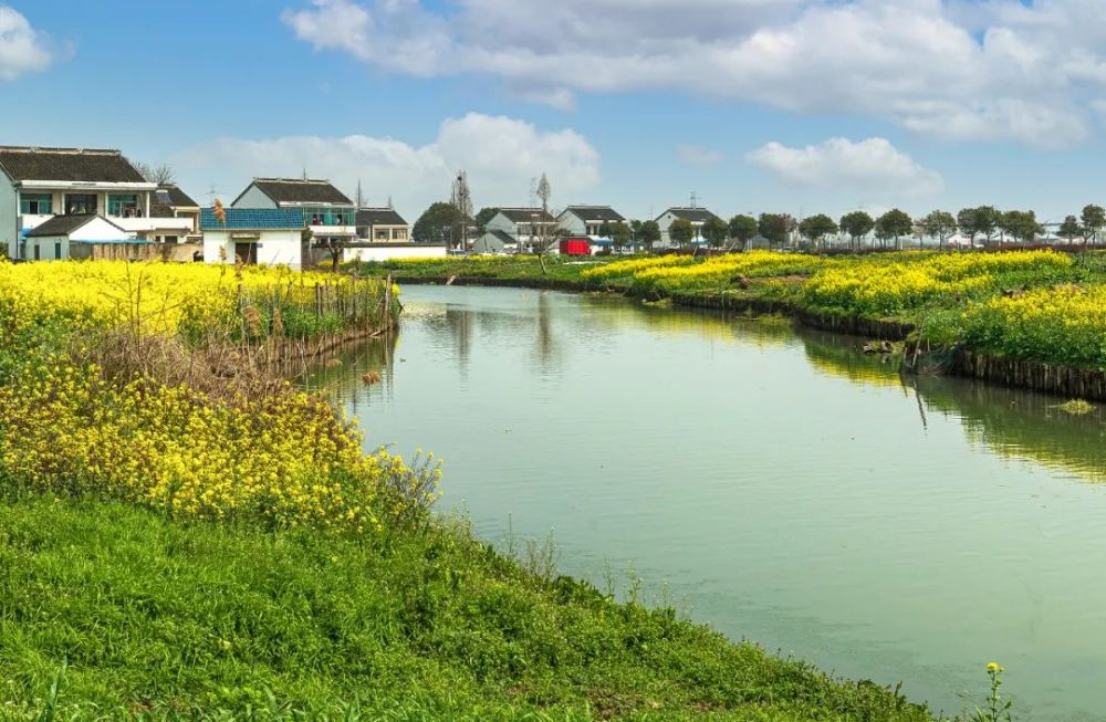 正好我也喜欢你,不如去澄湖看一场春暖花开_腾讯新闻