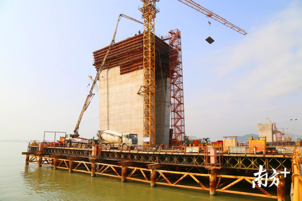 建设提速!金海大桥4个斜拉桥主墩全部完成