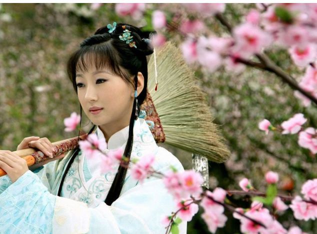 九版黛玉葬花,有人在葬花,有人像扫地,有人像下地干活?