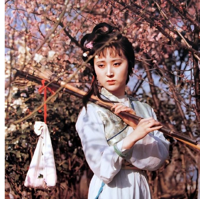 黛玉葬花表达情感_黛玉葬花概括20字