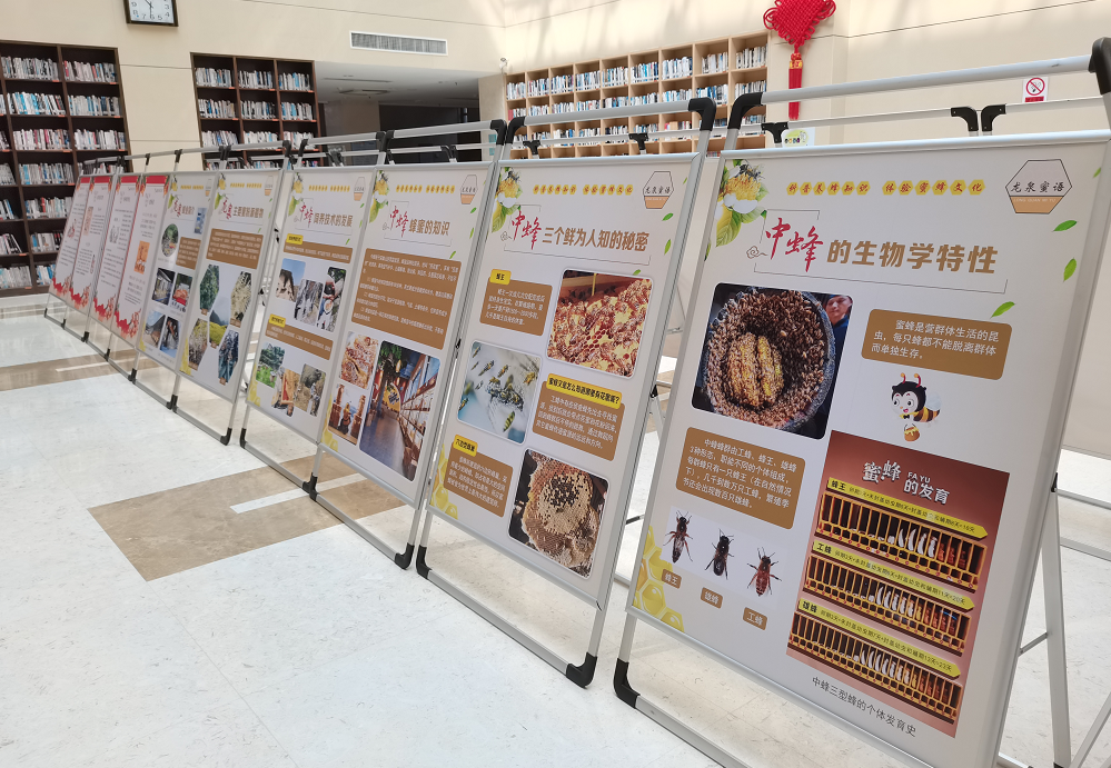 感兴趣的读者朋友们也可以线下前往龙泉市图书馆一楼进行