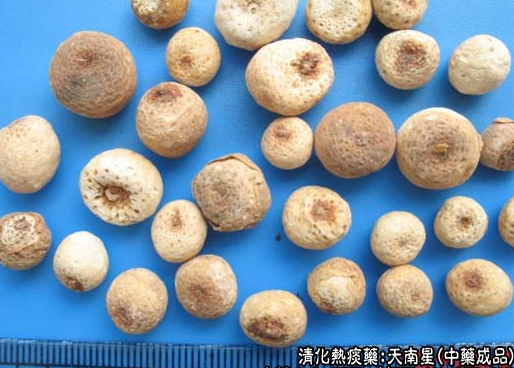 【每日一药】中药-天南星_腾讯新闻