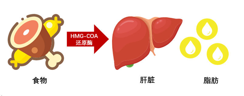 喝酒|喝酒脸红的人心血管风险更高！近50％中国人都中枪！