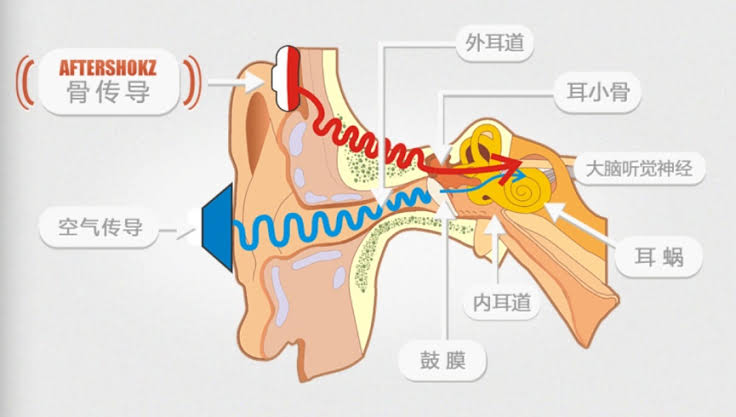 人类到底可以在太空中听到声音吗
