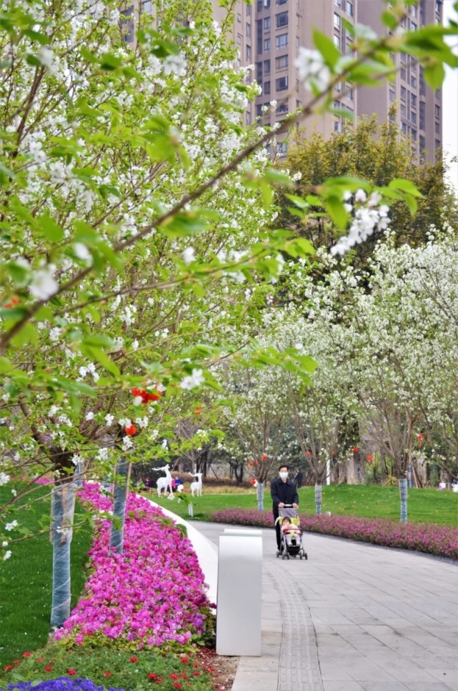 成都累计完成4780个"两拆一增"点位,幸福美好生活照进现实