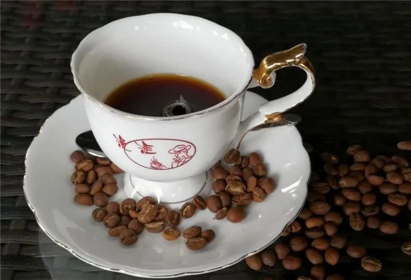 【玩场】普洱咖啡庄园图鉴!