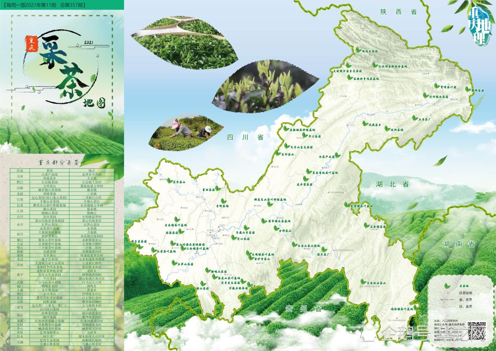 又到一年采茶季这张地图带你走进巴渝茶园感受春日茗香