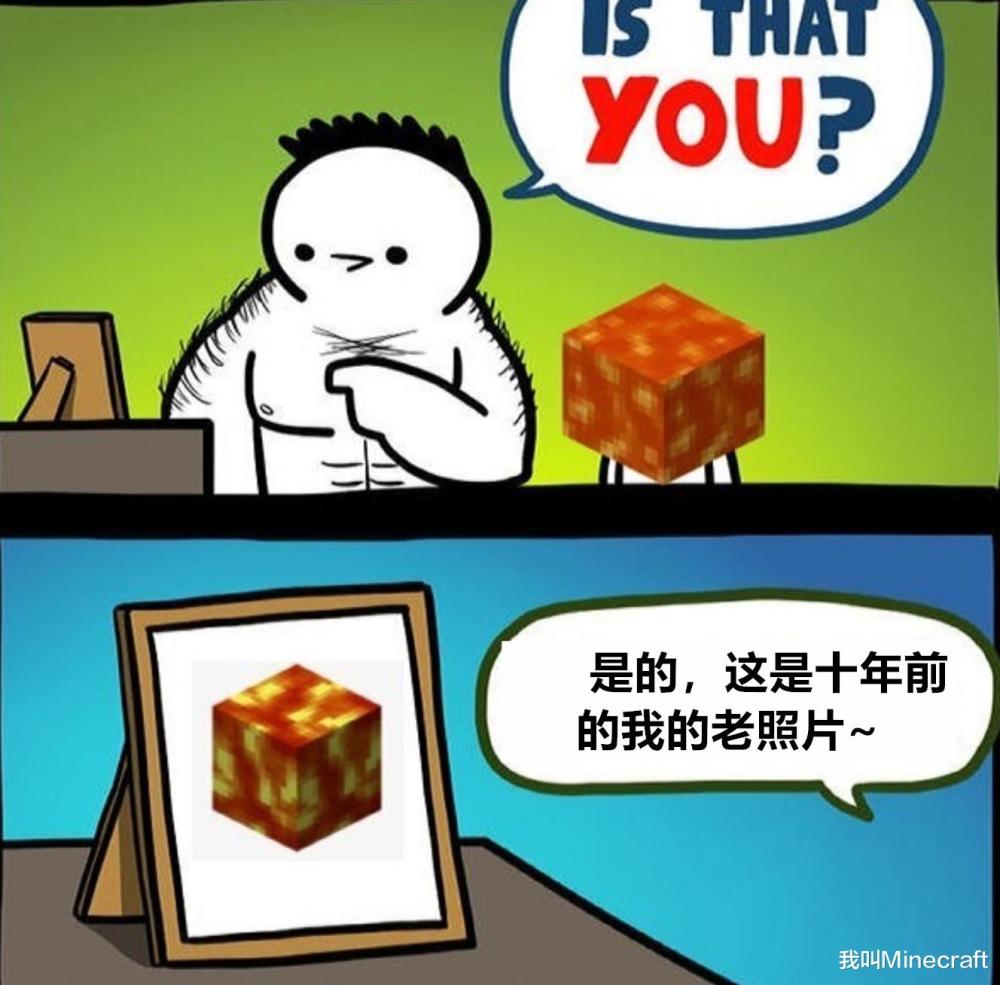 我的世界在网络上玩mc梗会发生什么11张图尝试解读梗失败