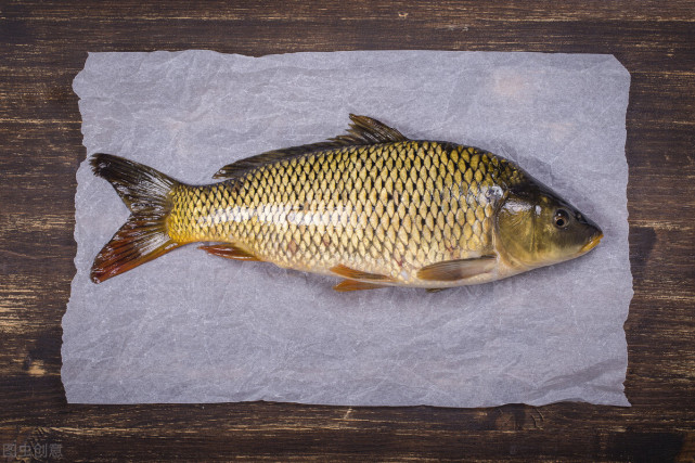 南方人的餐桌上为什么很少看见鲤鱼原因都在意料之中