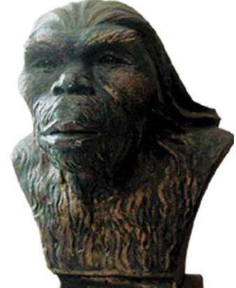 另外还有80万年前的陕西蓝田人和40-50万年前的北京人.