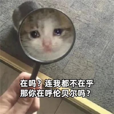 表情包:在吗表情包可爱图片