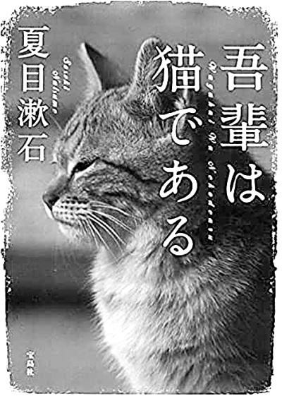 日本文学中的猫 腾讯新闻