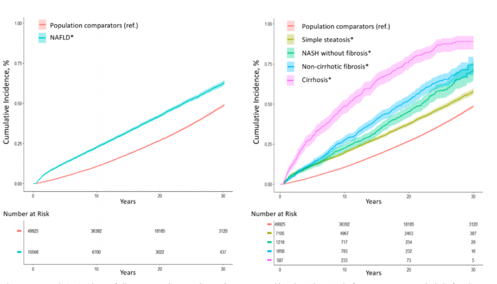 脂肪肝|全国爱肝日｜脂肪肝、肝癌发病率正在逐年攀升！