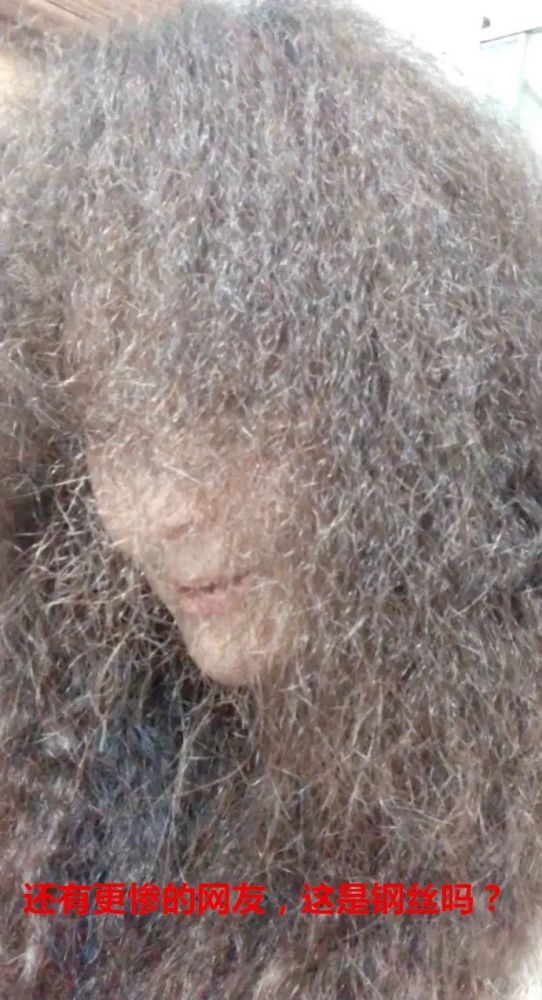 每日微博搞笑精选通知栏一个有趣的公众号每日文末更新美女图猫猫防
