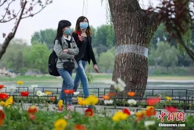 花粉过敏|有关花粉过敏，这8问你了解多少？