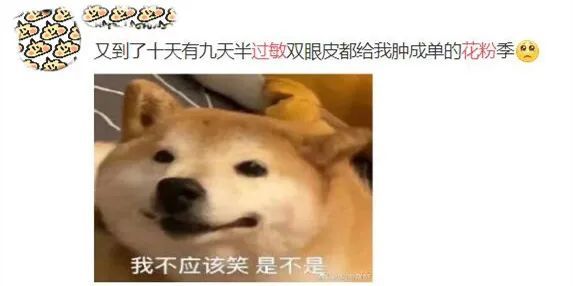 花粉过敏|有关花粉过敏，这8问你了解多少？