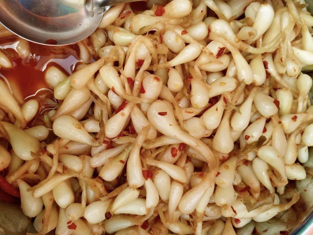 4月农村遍地长 很多人去野外连根挖 煎鸡蛋极香 见到可以挖点 腾讯新闻