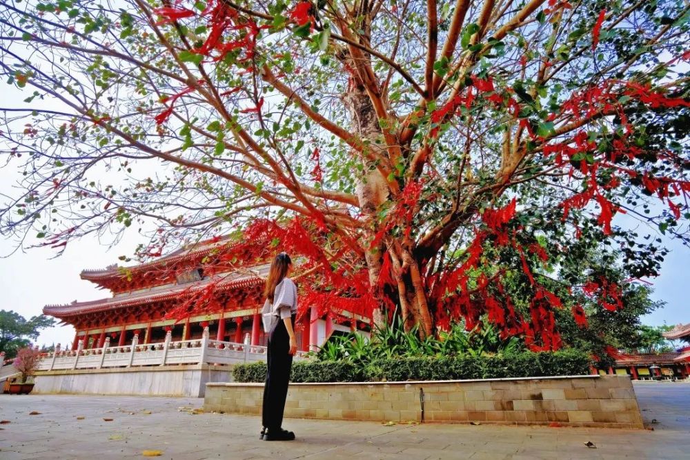 碧海藍天禪意綿綿藏在海口周邊的好去處永慶寺