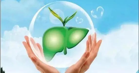 养肝|全国爱肝日｜了解这些养肝知识，艾黄金和你肝胆相照！