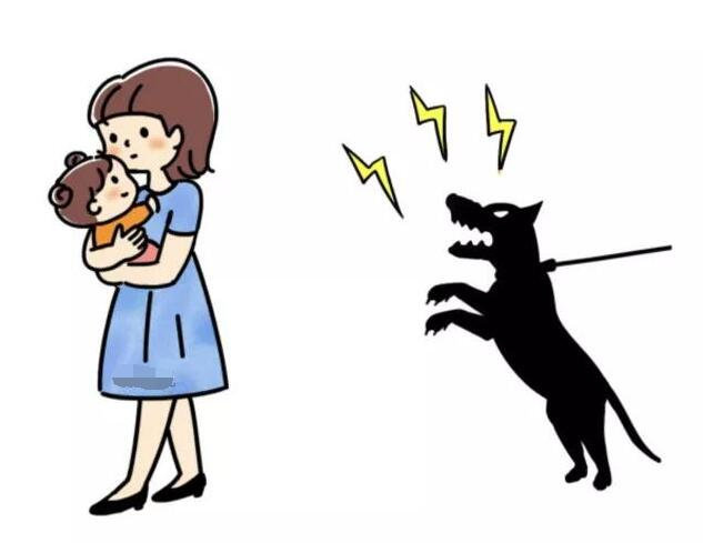 烈性犬|市区划定养犬严格管理区和一般管理区：严格管理区内禁养52种烈性犬大型犬