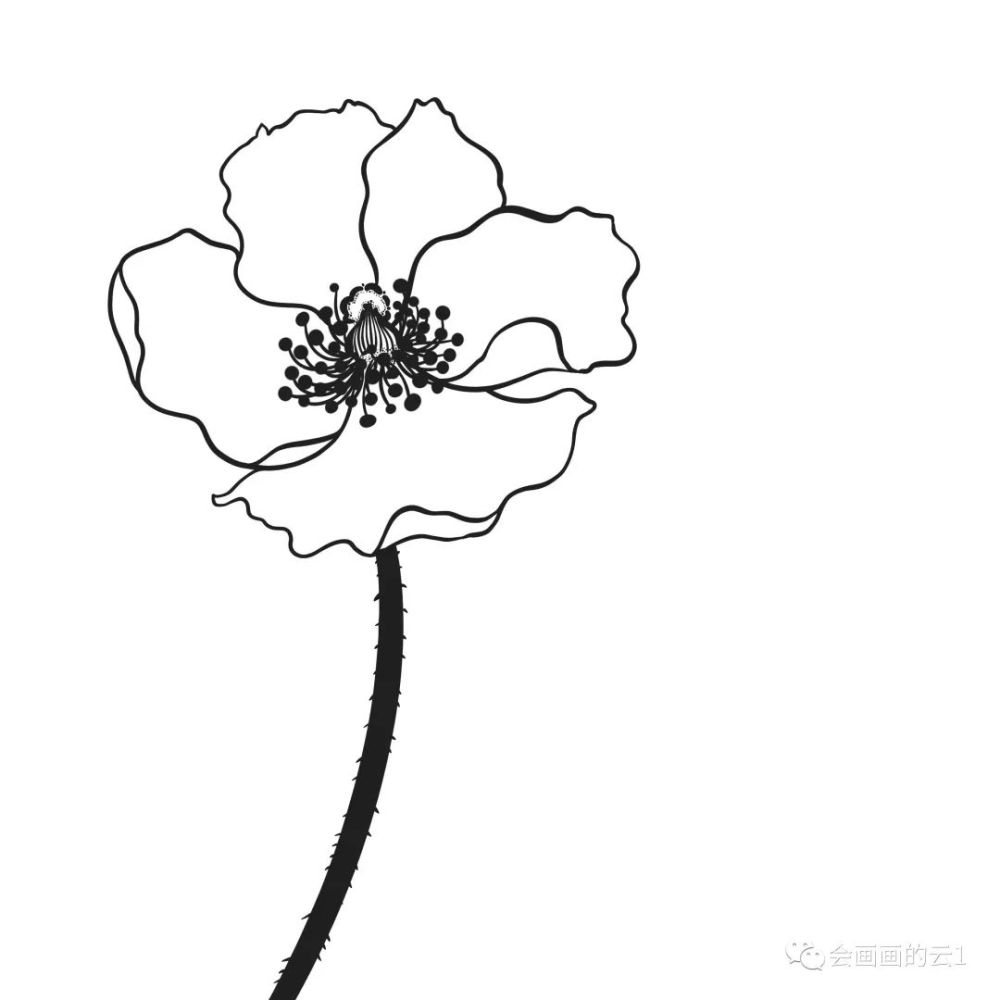 一支笔就可以画的简笔画赶快收藏画起来