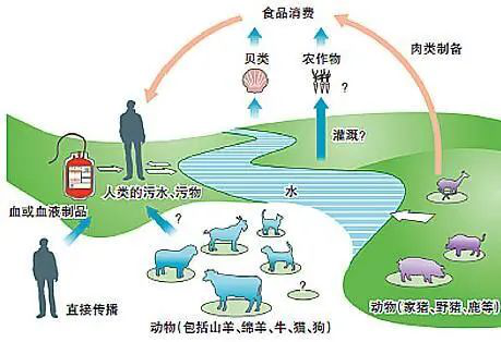 戊肝病毒|爱吃烧烤的注意了！在外就餐，这种病毒防不胜防