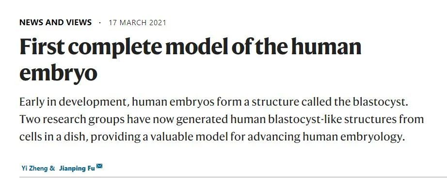 细胞|“首个人类胚胎完整模型”！两篇《自然》报道重大进展