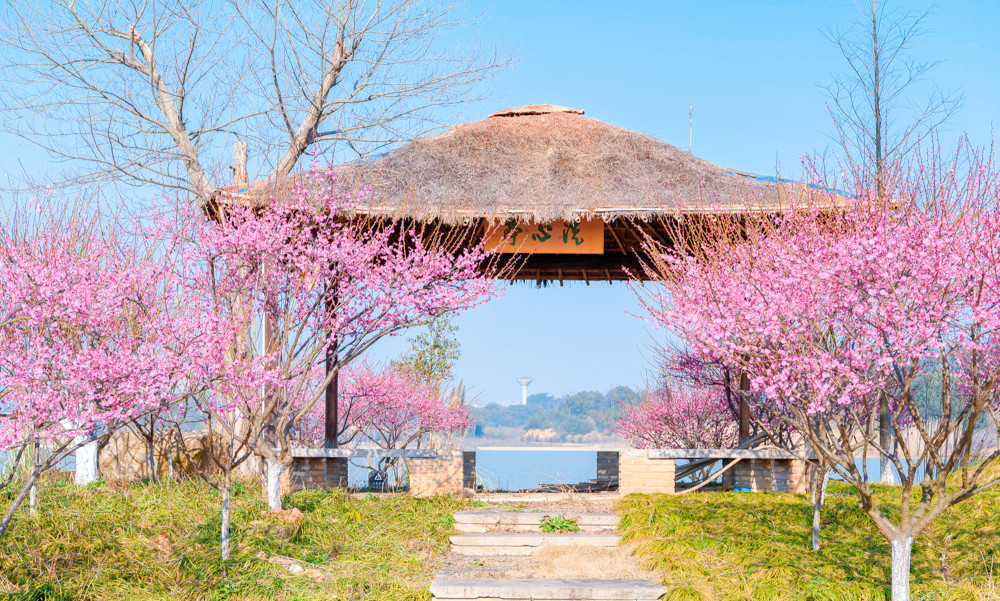 杜牧诗中的杏花村到底在哪有定论了