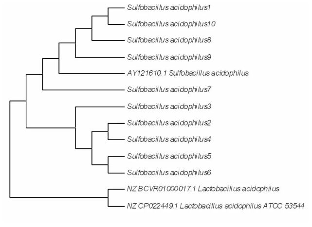 酵素中的细菌竟然这么多!