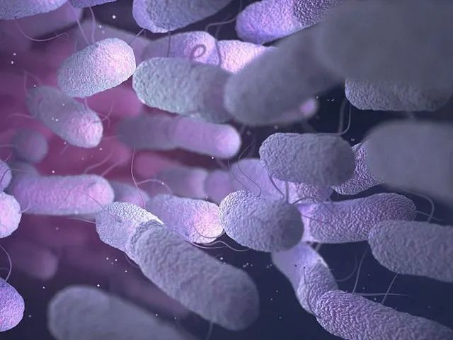 酵素中的细菌竟然这么多