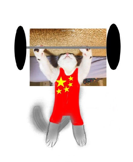 当你看到猫咪的上半身,你会联想到什么?