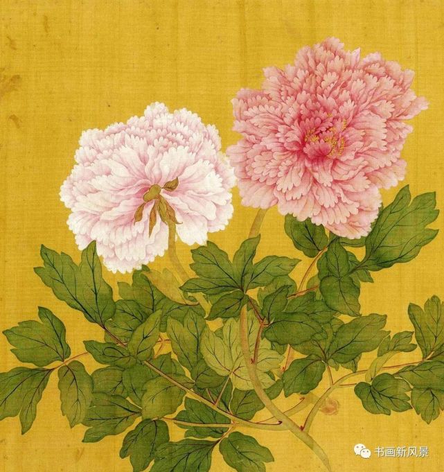 没骨|牡丹|花鸟画|画法|恽寿平