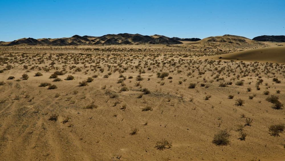 图为荒漠化土地