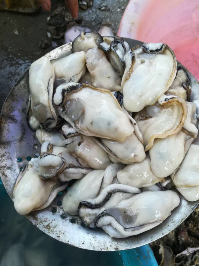 美味佳肴官渡生蚝之乡