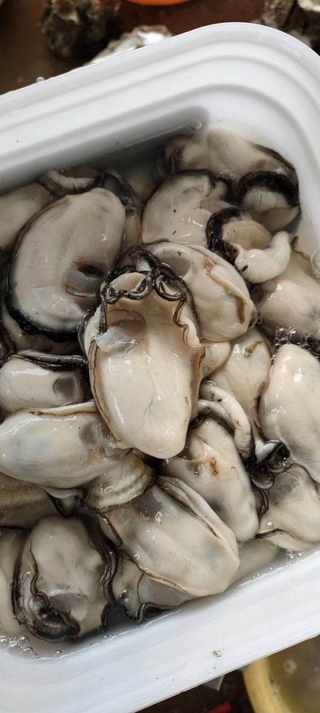 美味佳肴官渡生蚝之乡