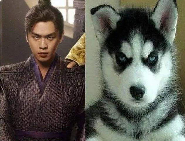 07 刘烨:"犬系男星"鼻祖现在娱乐圈涌现的犬系男星大都是小鲜肉,其实